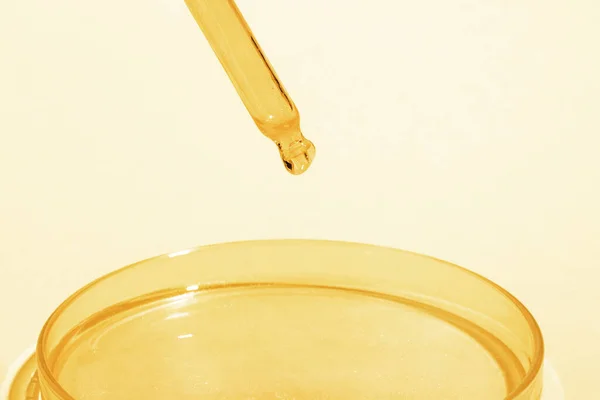 Pipette with dripping yellow liquid. Or liquid gold. On a Petri dish with yellow liquid. On a yellow background. Laboratory, chemistry, medicine. Cosmetic research. shine.