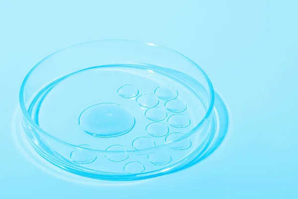 stock image Large drop and many small drops of blue liquid. Or liquid blue with sparkles. In a Petri dish against a blue background. Laboratory, chemistry, cosmetics research, glitter.