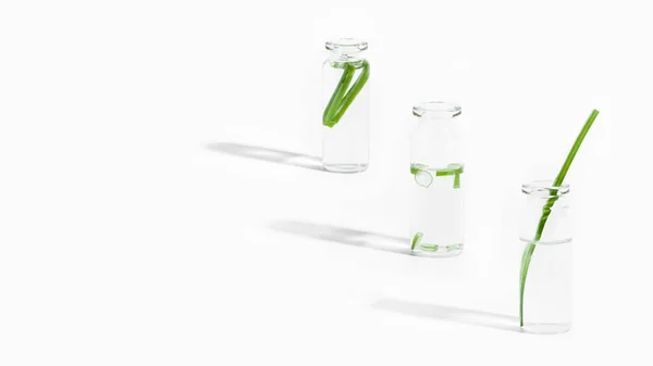 organic cosmetics, natural cosmetics, biofuels, algae. Natural green laboratory. Experiments. Laboratory glass jars in a row with green plants on a light background.
