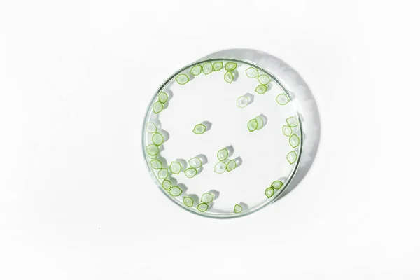 Organic Cosmetics Natural Cosmetics Biofuels Algae Natural Green Laboratory Experiments — Stock Photo, Image