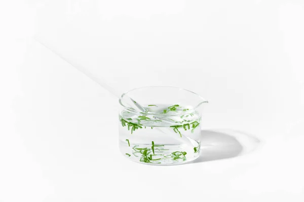 stock image  organic cosmetics, natural cosmetics, biofuels, algae. Natural green laboratory. Experiments. Laboratory cup with green plants on a light background.