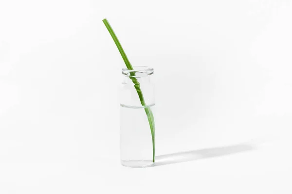 有机化妆品 天然化妆品 生物燃料 天然绿色实验室 浅色底色绿色植物玻璃瓶 — 图库照片