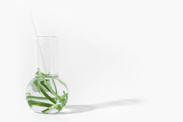 Cosmétiques Biologiques Cosmétiques Naturels Biocarburants Algues Laboratoire Vert Naturel Des — Photo