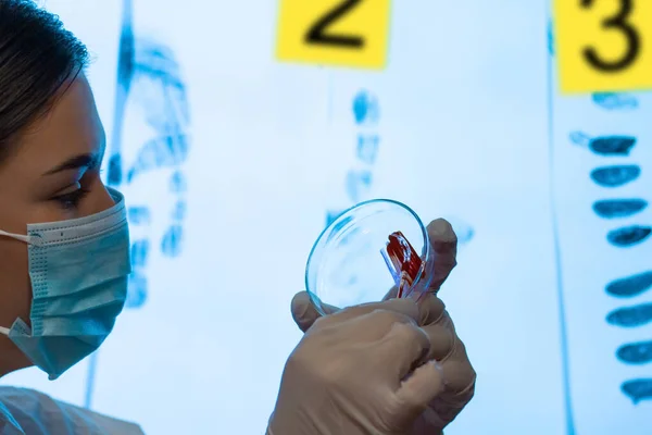 A forensic laboratory assistant holding a petri dish with blood samples. In the forensic laboratory. Against the background of a monitor with photos of physical evidence.