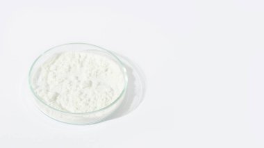 Petri kabında beyaz toz. Kokain, kanabinoid, ilaç tozu, antibiyotik. lab, araştırma.