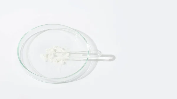 Polvo Blanco Una Placa Petri Cocaína Cannabinoides Polvo Medicinal Antibióticos — Foto de Stock