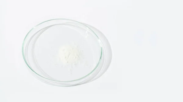 White Powder Petri Dish Cocaine Cannabinoid Medicinal Powder Antibiotic Lab — Stock Photo, Image