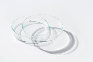 Boş Petri kabı. Beyaz bir arka planda. Parlak güneş ışığı. Derin gölgeler. Zıtlık. Laboratuvar. Petri kapları.