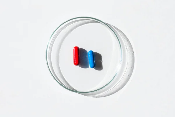 空のペトリ皿 青と赤の2つの錠剤 白い背景で 明るい日差し 深い影だ 対照的だ 研究室だ ペトリ皿だ — ストック写真