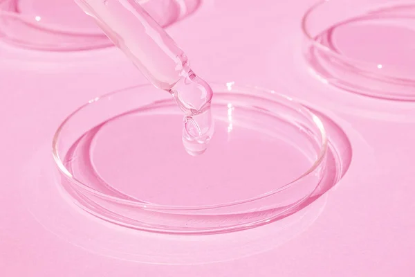 Tropfen Gel Aus Einer Pipette Eine Petrischale Auf Rosa Hintergrund — Stockfoto