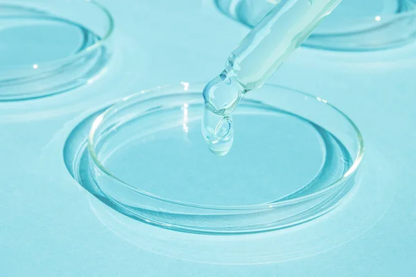 Goccia Gel Una Pipetta Una Capsula Petri Fondo Blu Laboratorio — Foto Stock