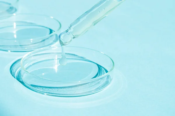在蓝色背景的培养皿中加入凝胶 化妆品实验室 视黄醇 — 图库照片