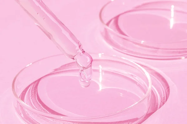 분홍색 배경에 페트리 접시에 떨어뜨리는 화장품 실험실 — 스톡 사진