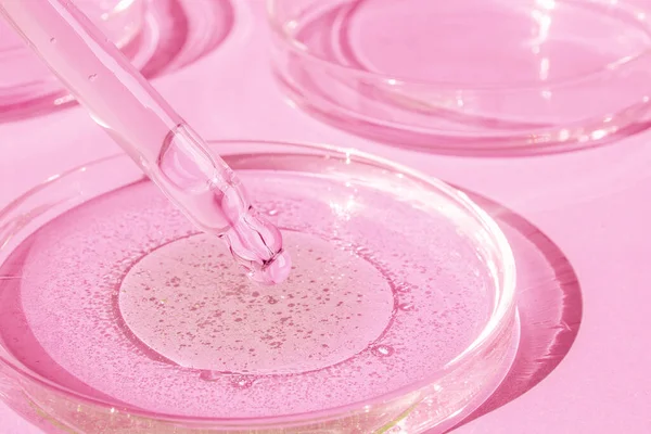 stock image Dropping gel from a pipette into a Petri dish on a pink background. Cosmetics Lab. Serum, gel, retinol, oil.