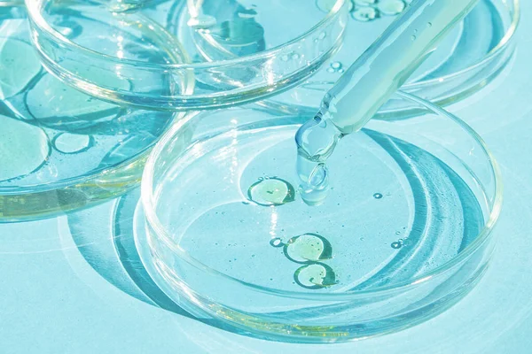 Goccia Gel Una Pipetta Una Capsula Petri Fondo Blu Laboratorio — Foto Stock