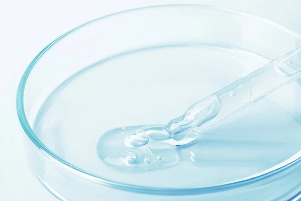 Gel Transparente Que Flui Uma Pipeta Para Uma Placa Petri — Fotografia de Stock