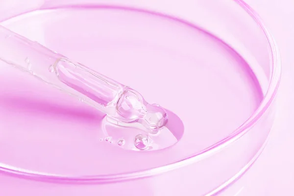 Gel Transparente Que Flui Uma Pipeta Para Uma Placa Petri — Fotografia de Stock