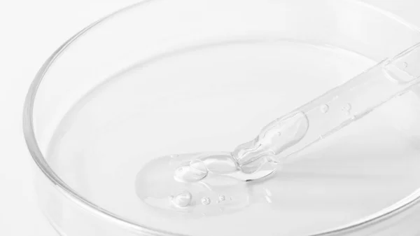 透明的凝胶从管道流到培养皿中 在白色的背景上四 后续行动 — 图库照片
