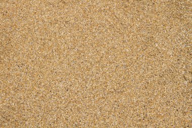 Kum dokusu. Kumsalda kum. Gıcırtılar.