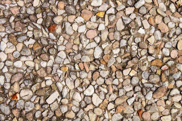 stock image A sidewalk of small stones. Fine pebble texture.