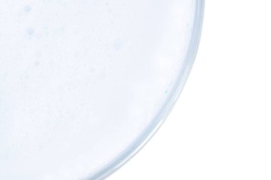 Petri kabında bulaşık köpüğü..