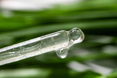 Yeşil yaprakların arka planına göz damlasından şeffaf jel dökülüyor