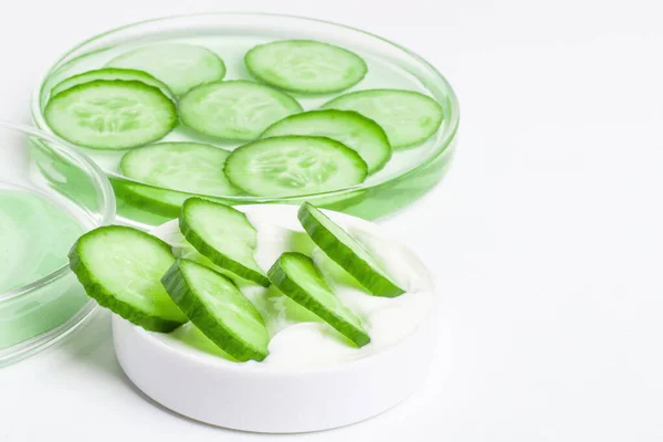 Petri Kabında Ince Dilimlenmiş Taze Yeşil Salatalık Yeşil Salatalık Kremi — Stok fotoğraf
