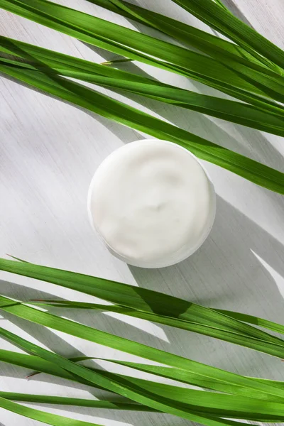 stock image white cosmetic cream on a white wooden background surrounded by long green leaves