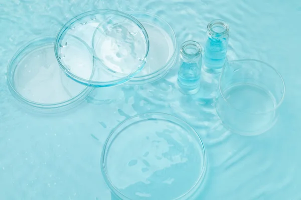 Set Von Laborutensilien Leere Petrischale Fläschchen Gläser Auf Dem Hintergrund — Stockfoto