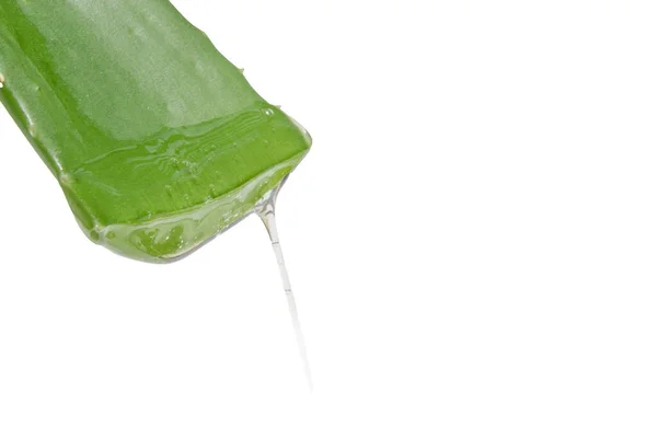 Φύλλο Πράσινης Φρέσκιας Αλόης Βέρα Διαυγές Τζελ Που Στάζει Λευκό — Φωτογραφία Αρχείου