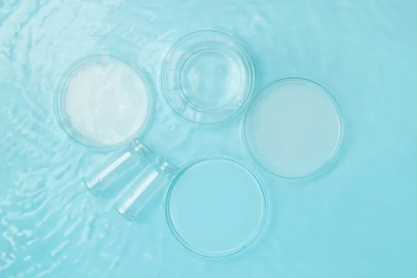 Reeks Laboratoriumgebruiksvoorwerpen Lege Petrischaal Kolven Potten Achtergrond Van Blauw Water Stockfoto