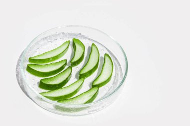 Taze aloe yaprağı ve dilimlenmiş aloe dilimleri. Beyaz bir arkaplanda