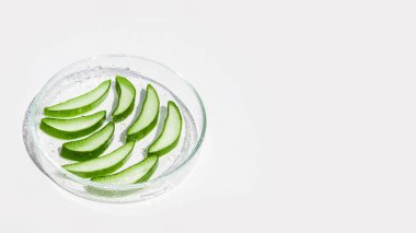 Taze aloe yaprağı ve dilimlenmiş aloe dilimleri. Beyaz bir arkaplanda