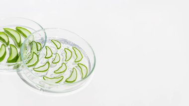 Taze aloe yaprağı ve dilimlenmiş aloe dilimleri. Beyaz bir arkaplanda