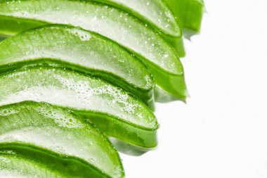 Kaydıraklar, taze yeşil aloe vera parçaları. Beyaz bir arkaplanda. 