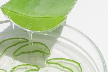 Aloe yaprağı ve dilimlenmiş aloe dilimleri. Aloe jelini bir petri kabına boşalt.
