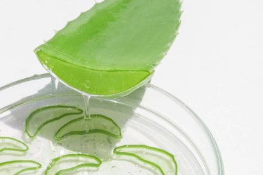 Aloe yaprağı ve dilimlenmiş aloe dilimleri. Aloe jelini bir petri kabına boşalt.