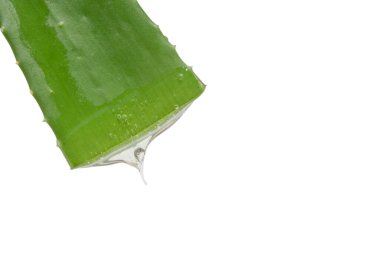 Bir yaprak taze aloe vera ve damlayan berrak jöle. Beyaz bir arkaplanda. 