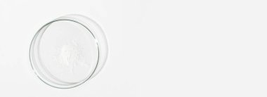 Petri kabında beyaz toz. Kokain, kanabinoid, ilaç tozu, antibiyotik. lab, araştırma.