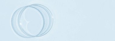 Petri kabı. Mavi bir arkaplanda.