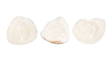 Kabuksuz hindistan cevizi parçaları.