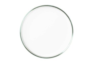 Boş arkaplanda petri kabı izole.