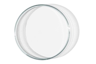 Boş arkaplanda petri kabı izole.