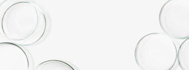 Petri kapları, mataralar, test tüpleri. Hafif bir arkaplanda. Laboratuvar. Pankart. Reklam için boş alan