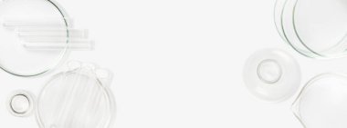 Petri kapları, mataralar, test tüpleri. Hafif bir arkaplanda. Laboratuvar. Pankart. Reklam için boş alan