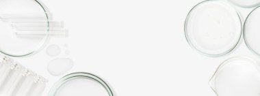 Petri kapları, mataralar, test tüpleri. Hafif bir arkaplanda. Damlalar ve şeffaf jel lekeleri. Laboratuvar. Pankart. Reklam için boş alan