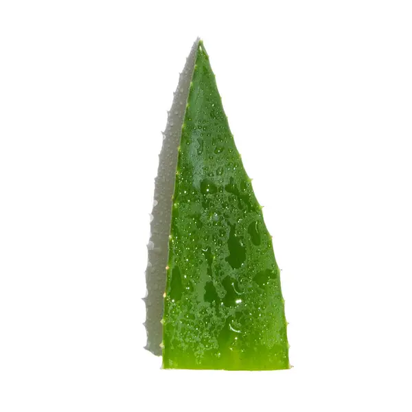 Listy Zelené Čerstvé Aloe Vera Bílém Pozadí — Stock fotografie