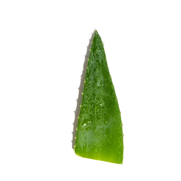 Liść Zielonej Świeżej Aloesu Vera Białym Tle — Zdjęcie stockowe
