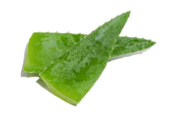 Két Levél Friss Zöld Aloe Vera Fehér Alapon — Stock Fotó