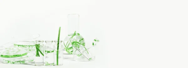 Szerves Kozmetikumok Természetes Kozmetikumok Bioüzemanyagok Algák Természetes Zöld Laboratórium Kísérleteket — Stock Fotó